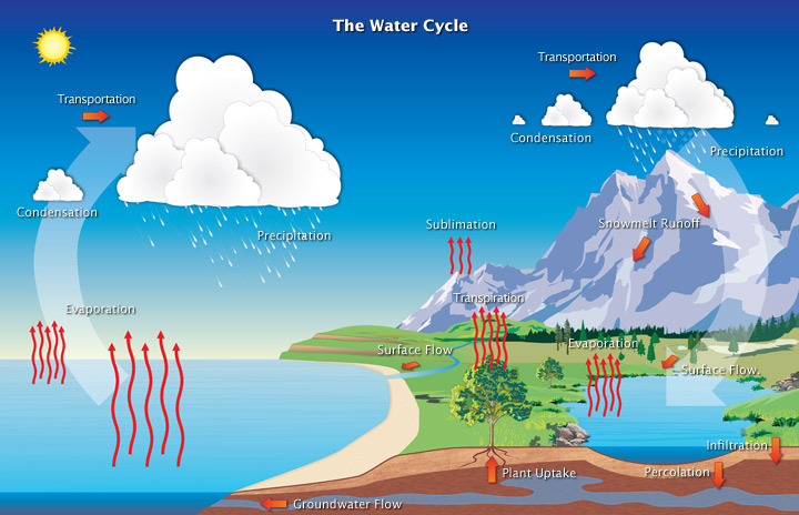 Diagram of Earth's water cycle, showing evaporation, transpiration, condensation, and preciptiation.